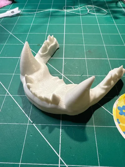 https://makerworld.bblmw.com/makerworld/model/666452/593983/ratings/58b23e20-1f26-11f0-bcdc-b307a38b1812.jpg