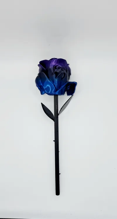 https://makerworld.bblmw.com/makerworld/model/666537/596155/ratings/6624ff30-01e3-11f0-8f53-318df5fe5292.jpg