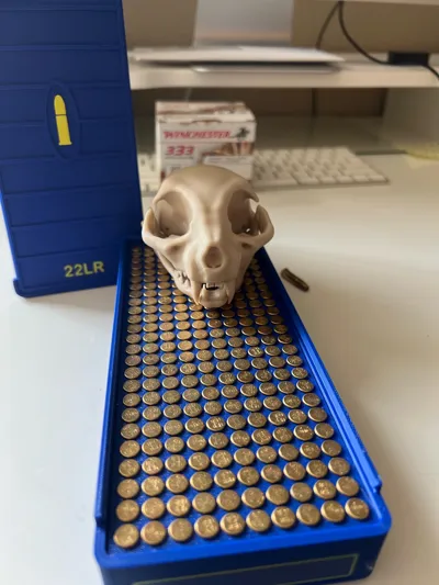 https://makerworld.bblmw.com/makerworld/model/666774/998589/ratings/57369690-b292-11f0-ae63-479b10ae7459.jpg