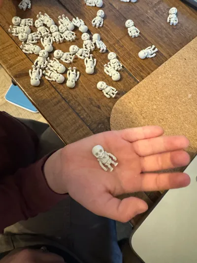 https://makerworld.bblmw.com/makerworld/model/669066/1081585/ratings/57487980-b456-11f0-a77a-833aff1d02bb.jpg