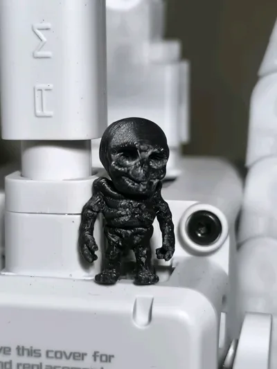 https://makerworld.bblmw.com/makerworld/model/669066/1081585/ratings/e84902f0-90fd-11f0-8177-2d788dd623ba.jpg