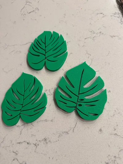 https://makerworld.bblmw.com/makerworld/model/671691/599433/ratings/a3f15180-d9b3-11f0-933e-13aa0aac4262.jpg