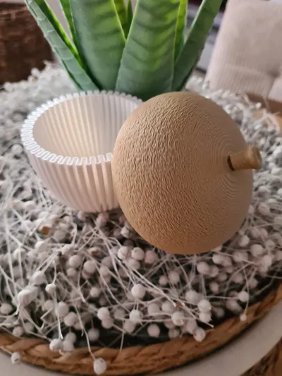 https://makerworld.bblmw.com/makerworld/model/671716/599463/ratings/abed5c50-ac0c-11f0-b7ba-05745bc50c62.jpg
