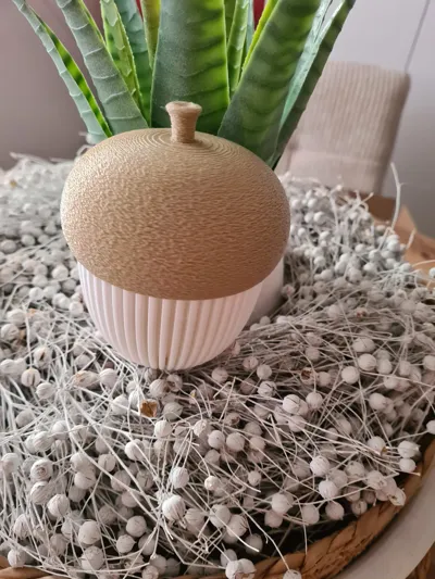 https://makerworld.bblmw.com/makerworld/model/671716/599463/ratings/abee1fa0-ac0c-11f0-b7ba-05745bc50c62.jpg