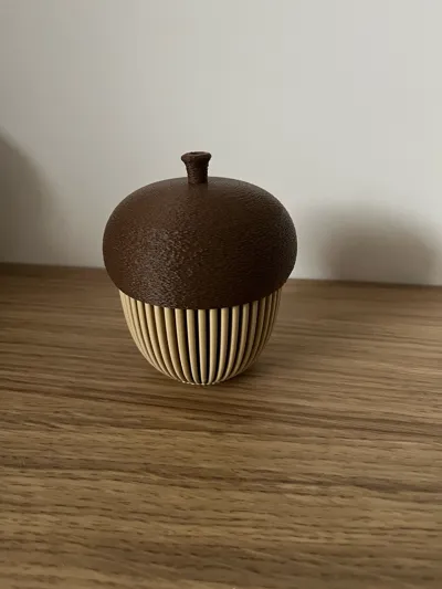 https://makerworld.bblmw.com/makerworld/model/671716/599463/ratings/e810d1b0-af56-11f0-a824-7779e54060cc.jpg