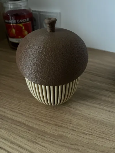 https://makerworld.bblmw.com/makerworld/model/671716/599483/ratings/03ec78d0-af57-11f0-a824-7779e54060cc.jpg