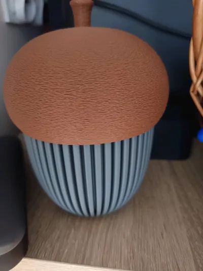 https://makerworld.bblmw.com/makerworld/model/671716/599483/ratings/2707bef0-92cf-11f0-a8e7-b9f38e42bf7c.jpg