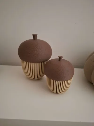 https://makerworld.bblmw.com/makerworld/model/671716/599483/ratings/2de76a30-a748-11f0-89fb-97b1a1078d52.jpg
