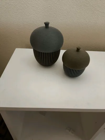 https://makerworld.bblmw.com/makerworld/model/671716/599483/ratings/68ee7e20-8998-11f0-ad8c-6133c1f470a0.jpg