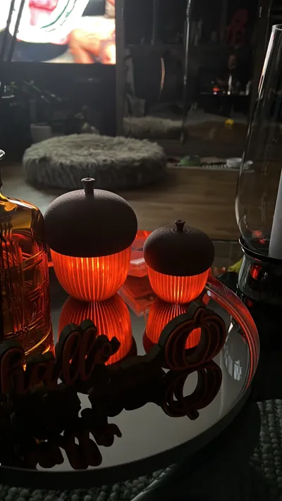 https://makerworld.bblmw.com/makerworld/model/671716/599483/ratings/7f5b1710-9215-11f0-aebd-6f9475e69831.jpg