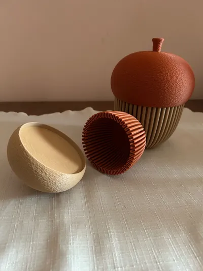 https://makerworld.bblmw.com/makerworld/model/671716/599484/ratings/6d17a8c0-9ebd-11f0-bed2-df784710d9c7.jpg