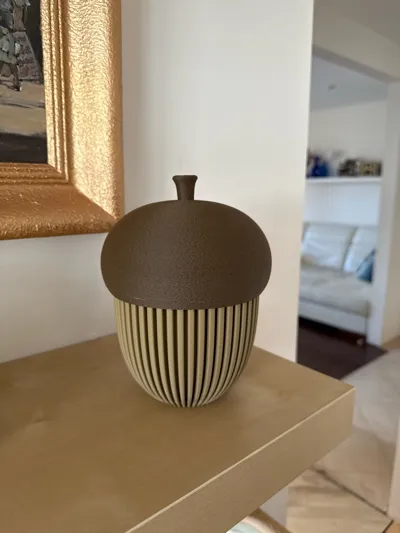 https://makerworld.bblmw.com/makerworld/model/671716/605300/ratings/57384e00-ade1-11f0-8382-c348fe0659e9.jpg