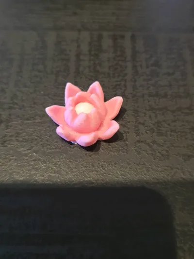 https://makerworld.bblmw.com/makerworld/model/671933/599728/ratings/509b7a10-61ef-11f0-846d-2daa64212574.jpg