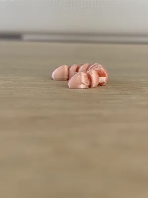 https://makerworld.bblmw.com/makerworld/model/672605/658826/ratings/d6792e80-0348-11f0-84c0-4f401d7cf64f.jpg