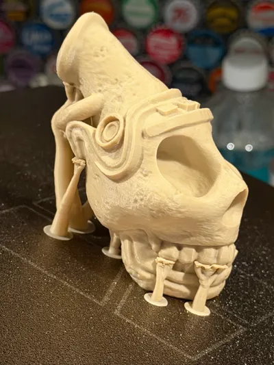 https://makerworld.bblmw.com/makerworld/model/674401/1274478/ratings/7130c570-ac9d-11f0-b365-0f8620f51ede.jpg