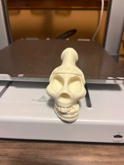 https://makerworld.bblmw.com/makerworld/model/674401/1274478/ratings/9cd73350-9e40-11f0-a499-51679465516d.jpg