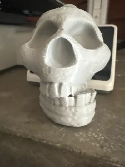 https://makerworld.bblmw.com/makerworld/model/674401/1274478/ratings/9efe7950-1118-11f0-8ac9-3b87a7ff4aa8.jpg