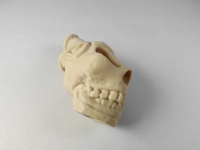 https://makerworld.bblmw.com/makerworld/model/674401/1274478/ratings/cc8f1760-ac56-11f0-9fab-05d384d0be32.jpg