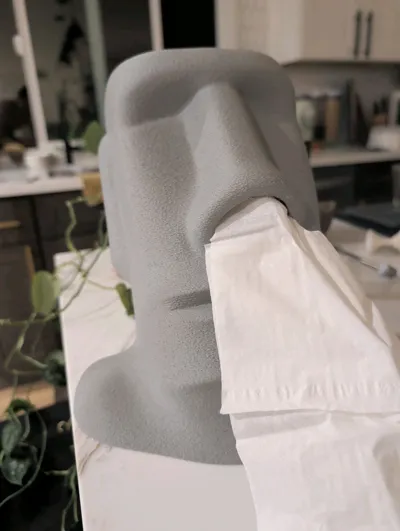 https://makerworld.bblmw.com/makerworld/model/675039/603093/ratings/10c963e0-9c17-11f0-a9f0-c78fec2d5acd.jpg