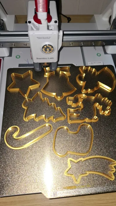 https://makerworld.bblmw.com/makerworld/model/67540/71507/ratings/65fe8200-dc09-11f0-bb70-7d588f76e718.jpg