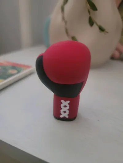 https://makerworld.bblmw.com/makerworld/model/676563/604672/ratings/77ee4e80-80f3-11f0-a6ad-bb0582ed6267.jpg