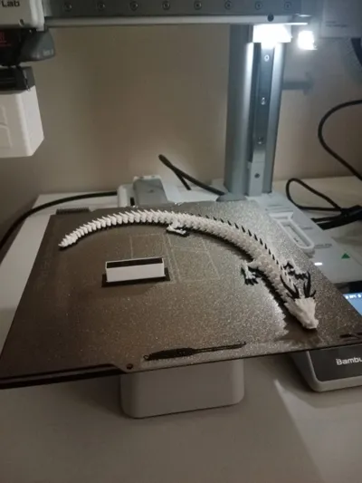 https://makerworld.bblmw.com/makerworld/model/679352/987811/ratings/c86a65e0-6476-11f0-9dc4-cfcdb82dc6ab.jpg