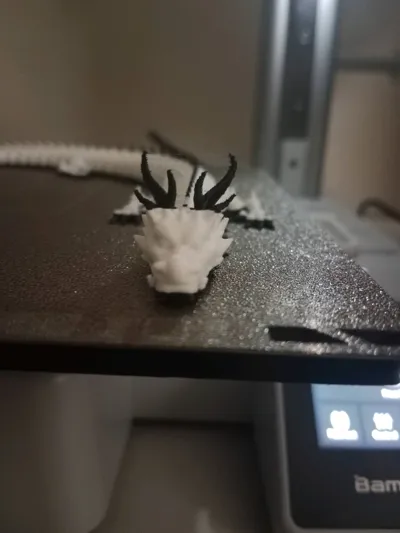 https://makerworld.bblmw.com/makerworld/model/679352/987811/ratings/c8736690-6476-11f0-9dc4-cfcdb82dc6ab.jpg