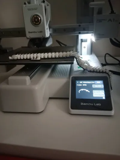 https://makerworld.bblmw.com/makerworld/model/679352/987811/ratings/c879f640-6476-11f0-9dc4-cfcdb82dc6ab.jpg