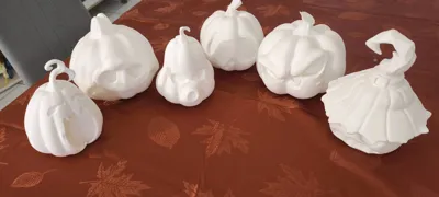 https://makerworld.bblmw.com/makerworld/model/679857/609559/ratings/7f6d2f40-b321-11f0-8742-0d4f64f8ac77.jpg