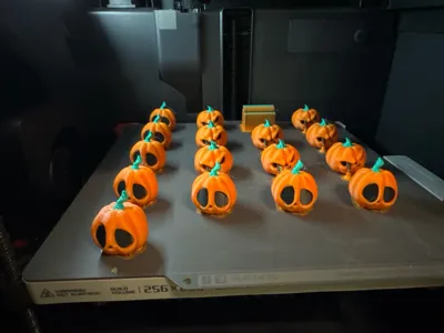 https://makerworld.bblmw.com/makerworld/model/679857/616342/ratings/5ea94e50-9d6f-11f0-ac89-3d38a98bbfe3.jpg