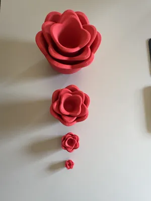 https://makerworld.bblmw.com/makerworld/model/679866/685874/ratings/159dc8e0-0575-11f0-bdb1-15f64fdcbc6e.jpg