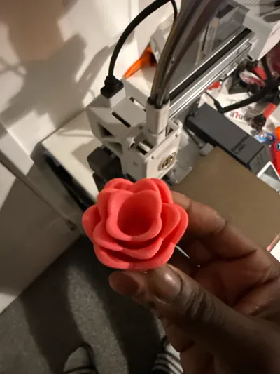 https://makerworld.bblmw.com/makerworld/model/679866/685874/ratings/f29f2c50-a860-11f0-b48e-0b16fcec9376.jpg