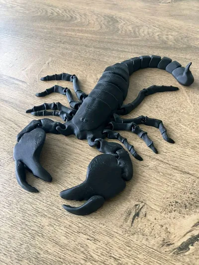 https://makerworld.bblmw.com/makerworld/model/680583/608983/ratings/211429f0-1301-11f0-99a8-d718cd025faf.jpg