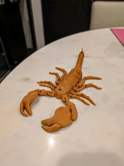 https://makerworld.bblmw.com/makerworld/model/680583/608983/ratings/9cf953e0-6993-11f0-befa-b73c9d3dd081.jpg
