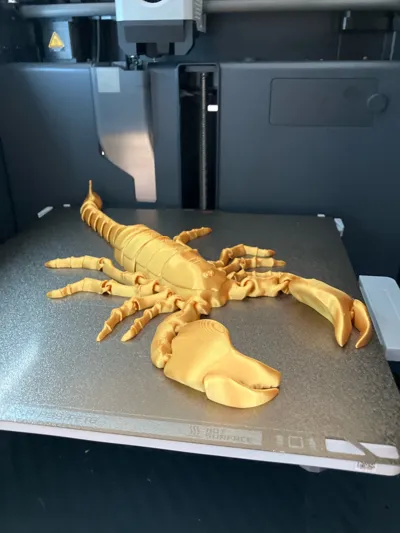 https://makerworld.bblmw.com/makerworld/model/680583/608983/ratings/b58bbaf0-0e63-11f0-9ab3-833f7114e587.jpg