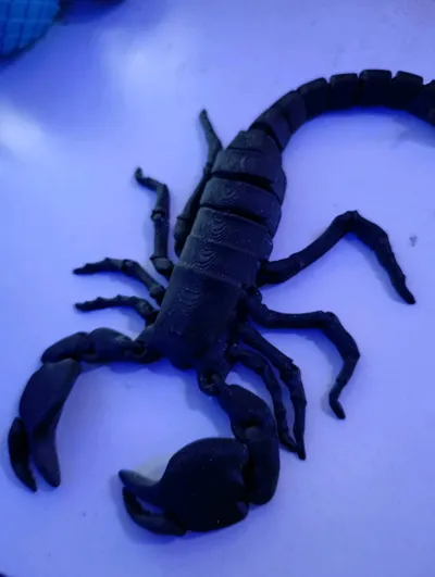 https://makerworld.bblmw.com/makerworld/model/680583/614676/ratings/ceaafae0-8c8b-11f0-a74e-05a56b48f1e9.jpg