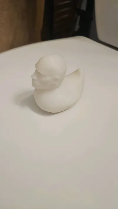 The Rubber Rock Duck - Dwayne the duck Johnson - Free 3D Print Model ...
