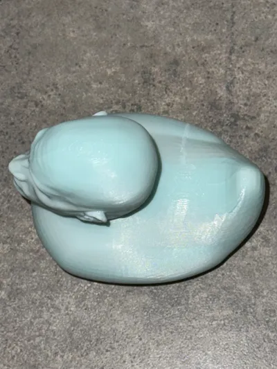 The Rubber Rock Duck - Dwayne the duck Johnson - Free 3D Print Model ...