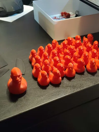 https://makerworld.bblmw.com/makerworld/model/680609/609012/ratings/f2889fd0-a62b-11f0-8715-3be4578ce76b.jpg