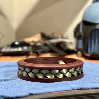 https://makerworld.bblmw.com/makerworld/model/681281/609732/ratings/5282bee0-6ceb-11f0-92cd-8786eb350230.jpg