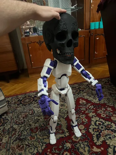 https://makerworld.bblmw.com/makerworld/model/681975/610441/ratings/65215e80-d6d1-11f0-8f08-35799a860100.jpg