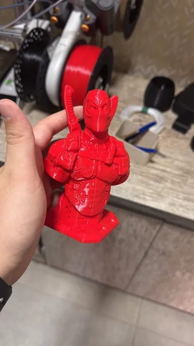 https://makerworld.bblmw.com/makerworld/model/68216/360398/ratings/938bf4d0-364d-11f0-a991-a17d0bd7e8ce.jpg