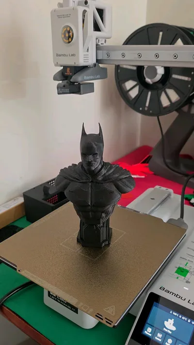 https://makerworld.bblmw.com/makerworld/model/682192/978998/ratings/22abe470-252a-11f0-97ae-a1cd3b512a3e.jpg