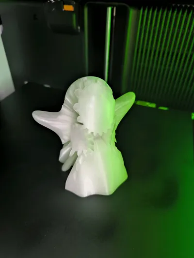 https://makerworld.bblmw.com/makerworld/model/682289/662145/ratings/15683320-b5af-11f0-9611-396869302144.jpg