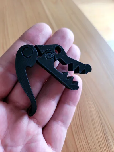 https://makerworld.bblmw.com/makerworld/model/682624/611174/ratings/56a51310-6732-11f0-8f58-73dab9216b8e.jpg