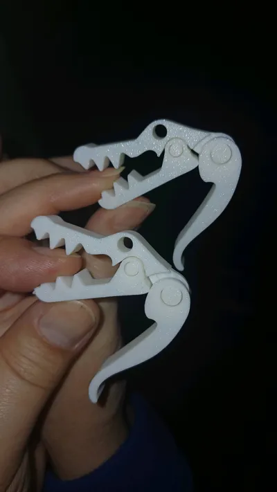 https://makerworld.bblmw.com/makerworld/model/682624/611174/ratings/fad0bef0-ef4d-11f0-aa8e-4fb7817027de.jpg