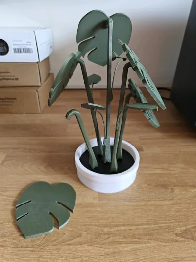https://makerworld.bblmw.com/makerworld/model/683058/611650/ratings/0f7e8010-9221-11f0-a042-1db4750c167a.jpg