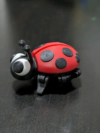 https://makerworld.bblmw.com/makerworld/model/684841/1348608/ratings/cca3cee0-eea4-11f0-9cb7-41048c2081d8.jpg