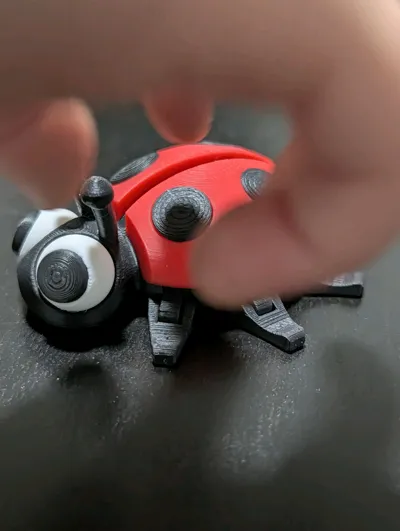 https://makerworld.bblmw.com/makerworld/model/684841/1348608/ratings/cca46b20-eea4-11f0-9cb7-41048c2081d8.jpg