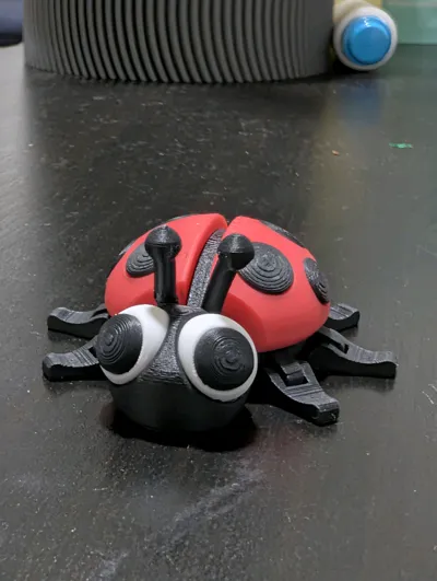 https://makerworld.bblmw.com/makerworld/model/684841/1348608/ratings/cca52e70-eea4-11f0-9cb7-41048c2081d8.jpg